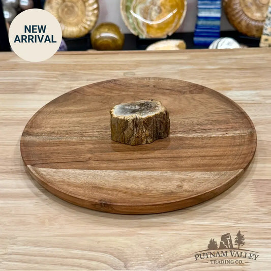 Petrified Wood Mini Stump Accent 2.7’’ - Free Standing Accent