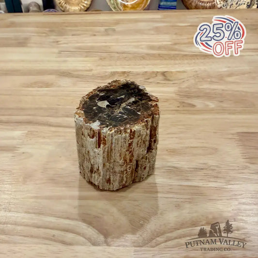 Petrified Wood Mini Stump Accent 2.75’’ - Accent