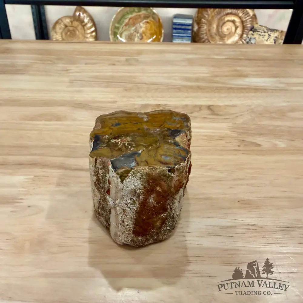 Petrified Wood Mini Stump Accent 2.75’’ - Accent