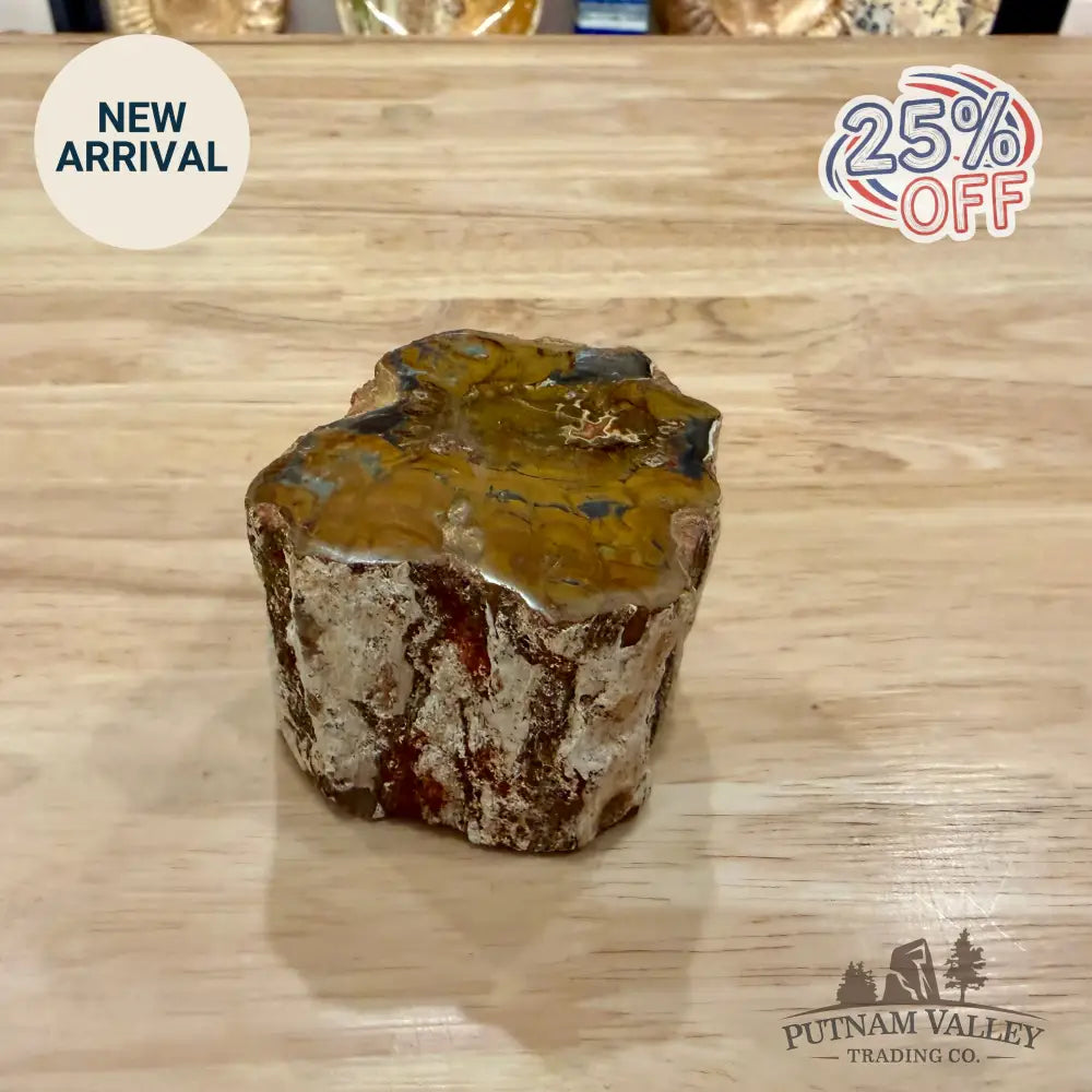 Petrified Wood Mini Stump Accent 2.75’’ - Accent