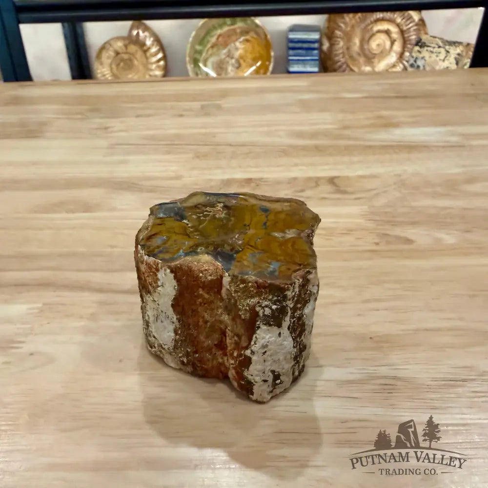 Petrified Wood Mini Stump Accent 2.75’’ - Accent