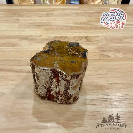 Petrified Wood Mini Stump Accent 2.75’’ - Accent