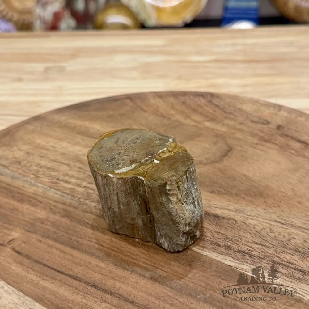Petrified Wood Mini Stump Accent 2.8’’ - Free Standing Accent