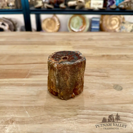 Petrified Wood Mini Stump Accent 2.89’’ - Accent