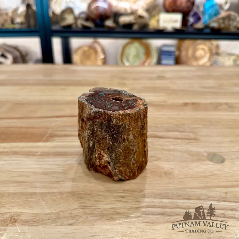 Petrified Wood Mini Stump Accent 2.89’’ - Accent