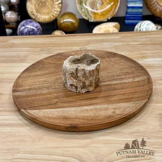 Petrified Wood Mini Stump Accent 2.95’’ - Free Standing Accent
