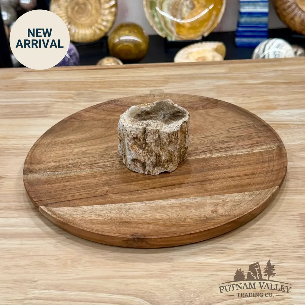Petrified Wood Mini Stump Accent 2.95’’ - Free Standing Accent