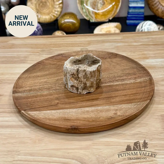 Petrified Wood Mini Stump Accent 2.95’’ - Free Standing Accent