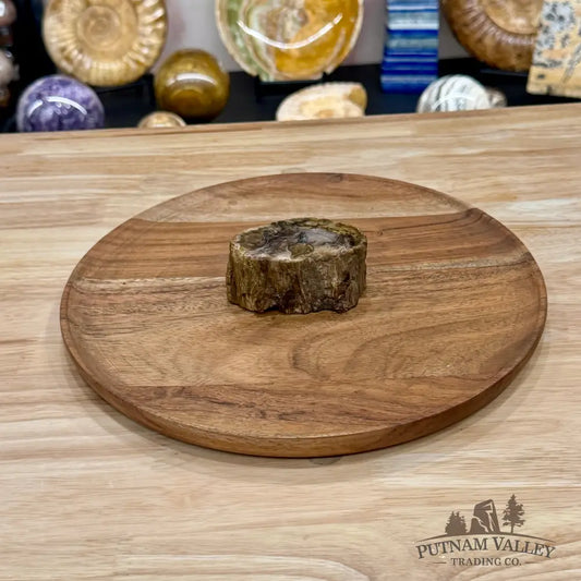 Petrified Wood Mini Stump Accent 3.2’’ - Free Standing Accent