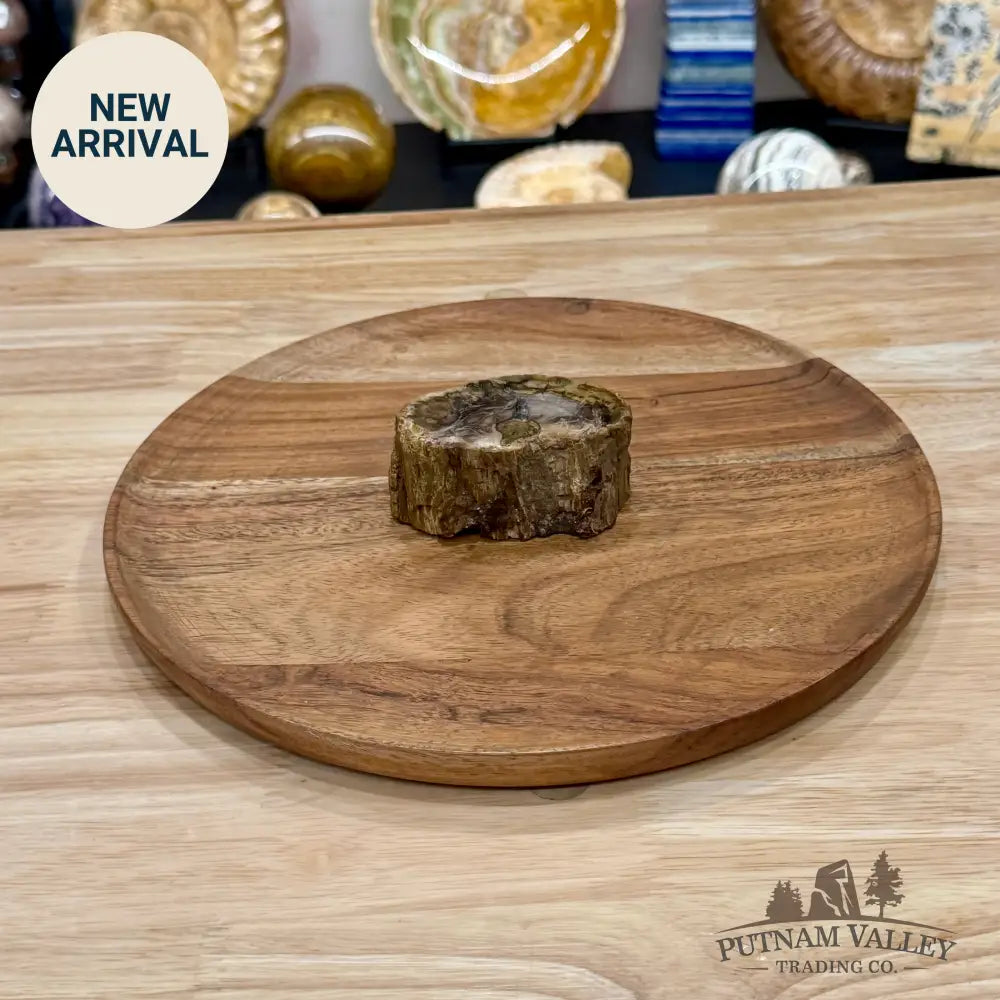 Petrified Wood Mini Stump Accent 3.2’’ - Free Standing Accent