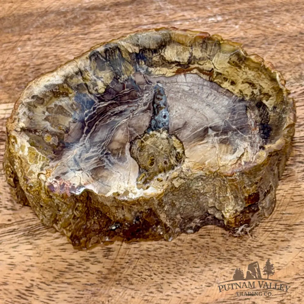 Petrified Wood Mini Stump Accent 3.2’’ - Free Standing Accent