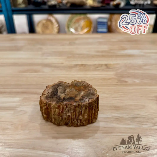 Petrified Wood Mini Stump Accent 3.25’’ - Accent