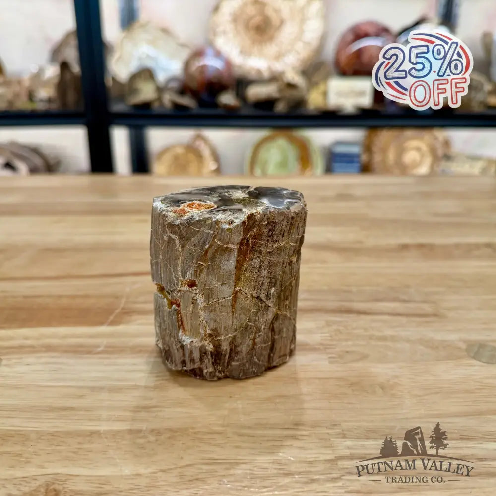 Petrified Wood Mini Stump Accent 3.29’’ - Accent