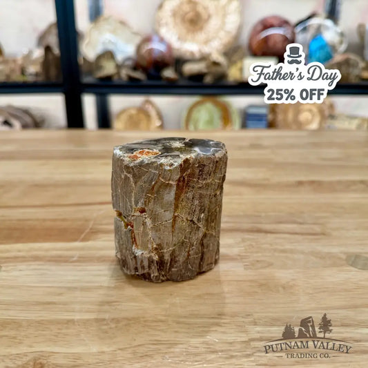 Petrified Wood Mini Stump Accent 3.29’’ - Accent