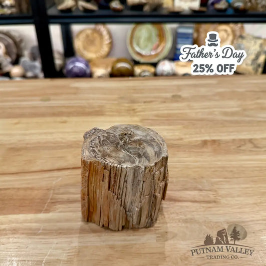 Petrified Wood Mini Stump Accent 3.34’’ - Accent