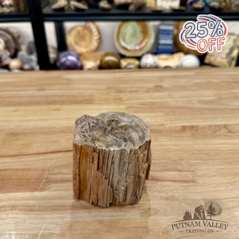 Petrified Wood Mini Stump Accent 3.34’’ - Accent