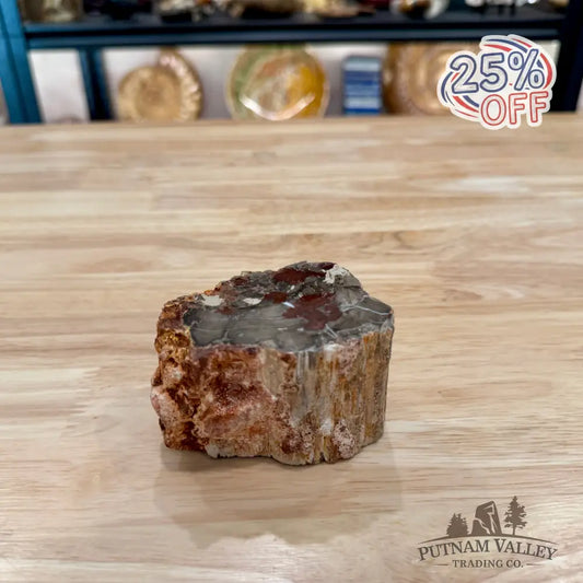 Petrified Wood Mini Stump Accent 3.3’’ - Accent