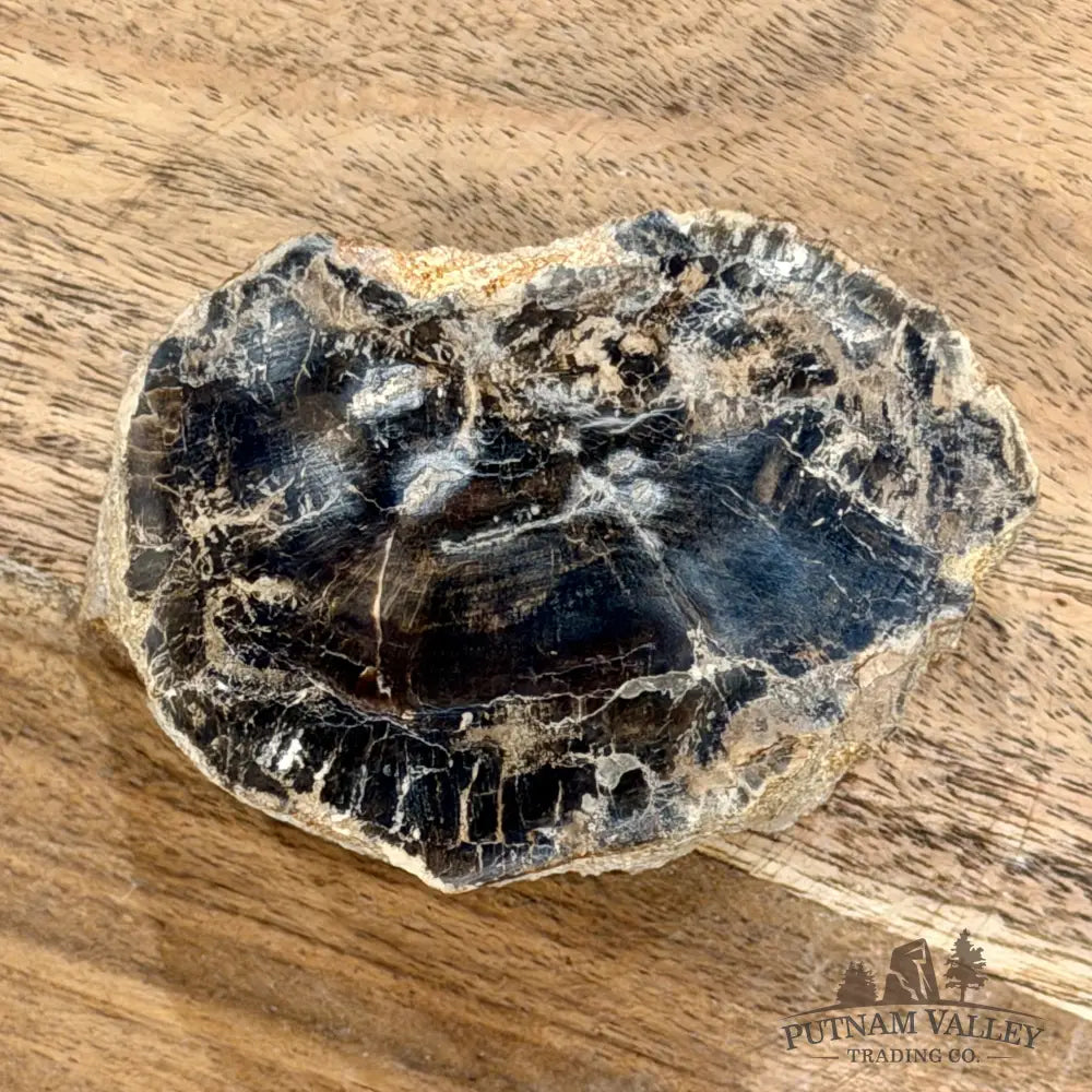Petrified Wood Mini Stump Accent 3.45’’ - Free Standing Accent