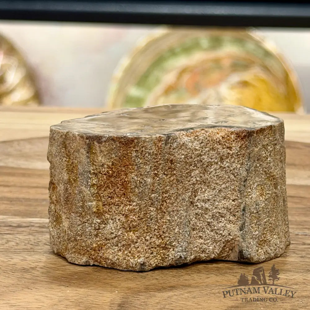 Petrified Wood Mini Stump Accent 3.45’’ - Free Standing Accent