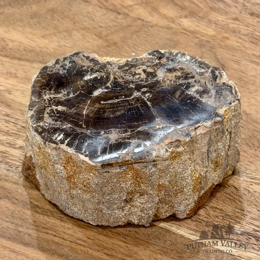 Petrified Wood Mini Stump Accent 3.45’’ - Free Standing Accent