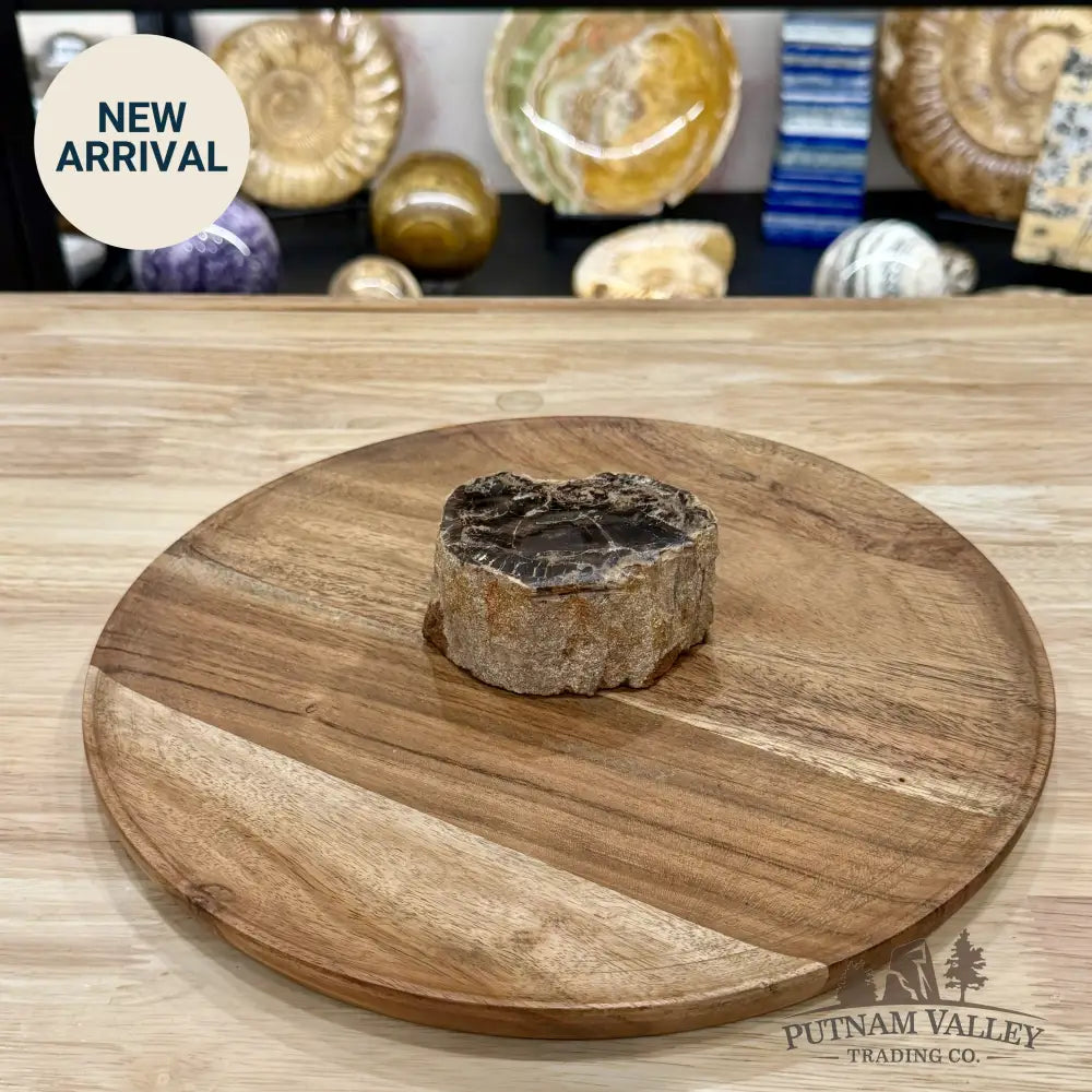 Petrified Wood Mini Stump Accent 3.45’’ - Free Standing Accent