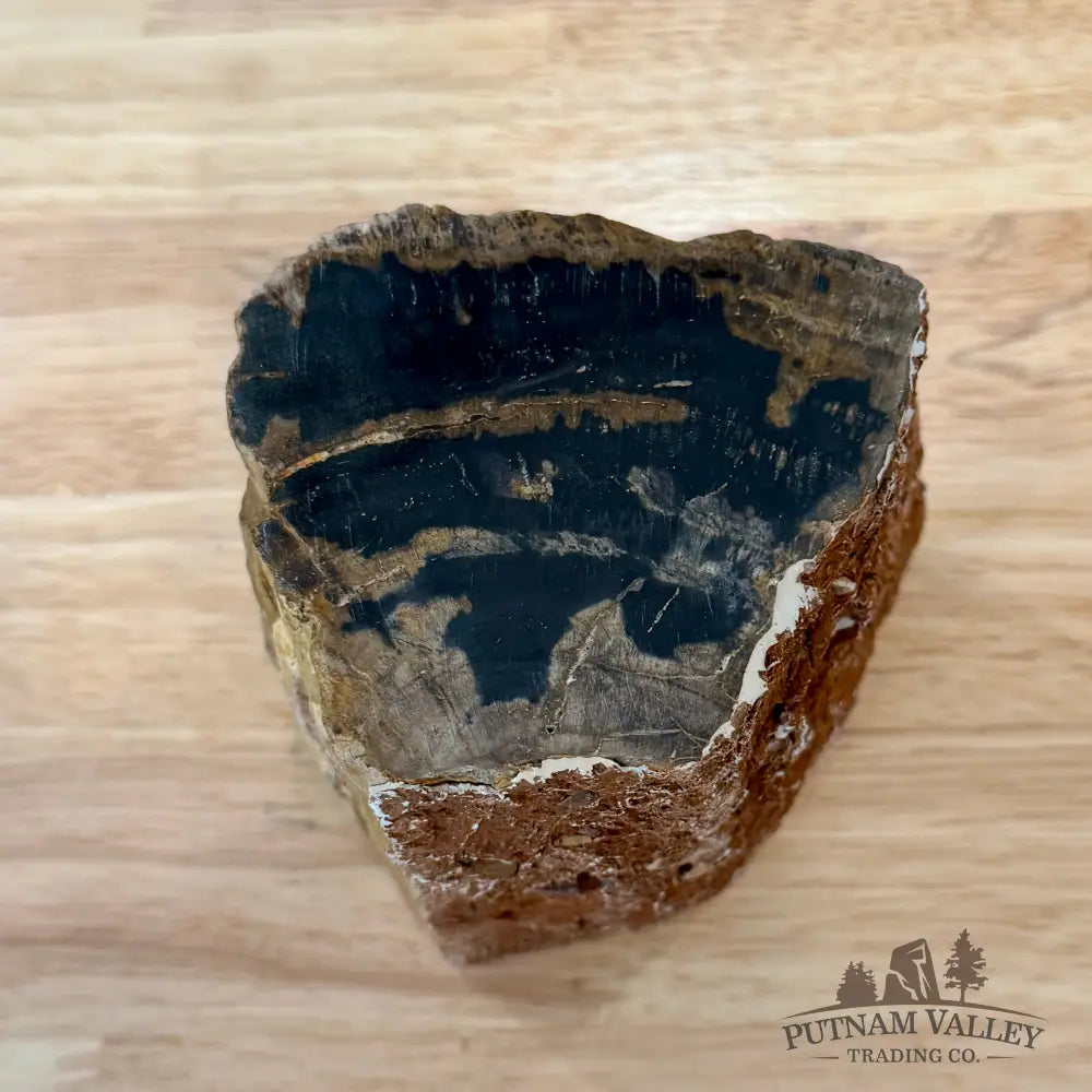 Petrified Wood Mini Stump Accent 3.5’’ - Accent