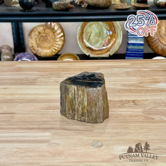 Petrified Wood Mini Stump Accent 3.5’’ - Accent