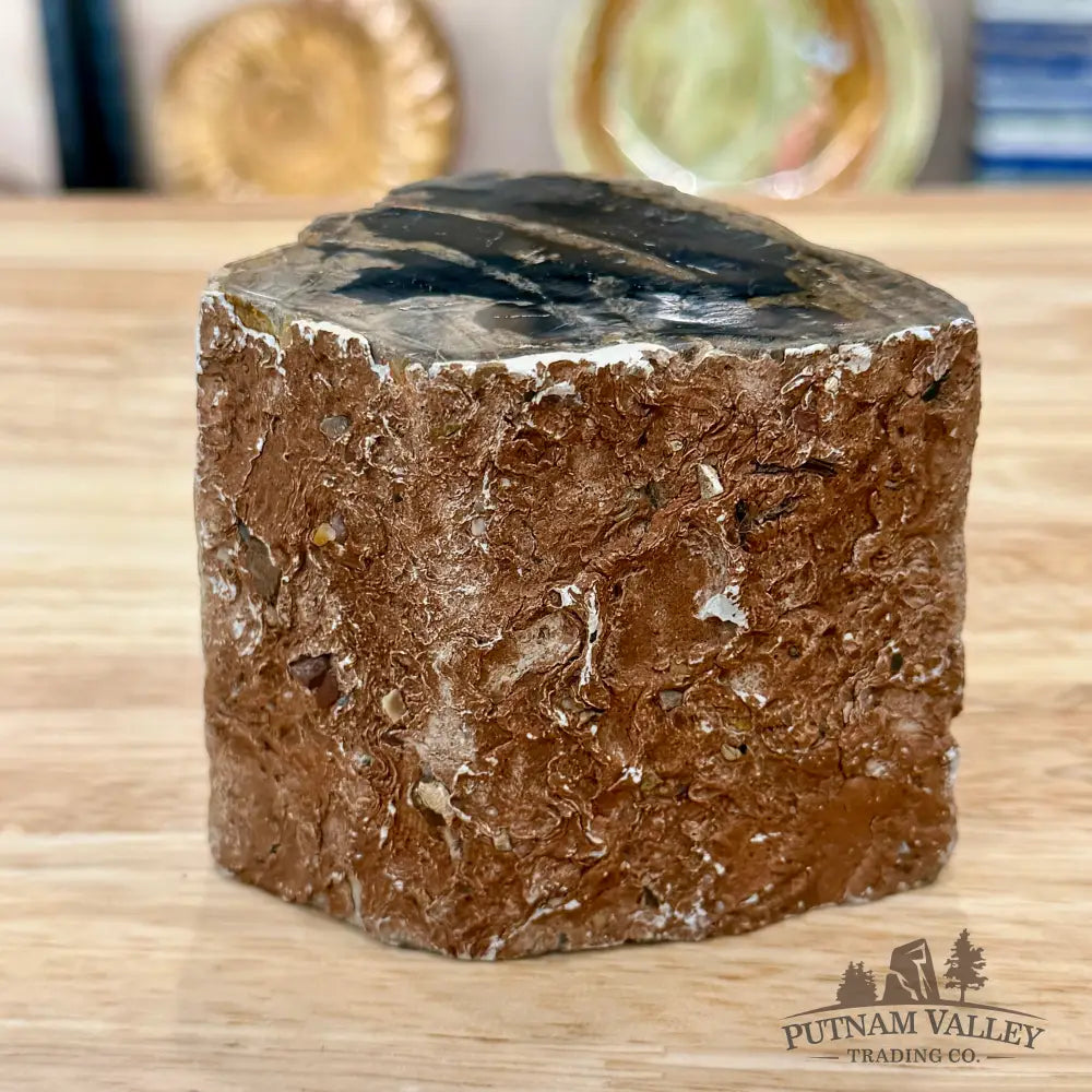 Petrified Wood Mini Stump Accent 3.5’’ - Accent
