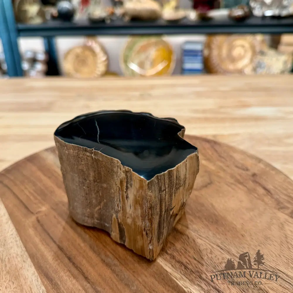 Petrified Wood Mini Stump Accent 3.78’’ - Accent
