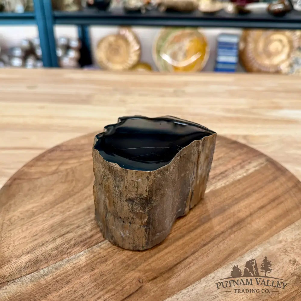 Petrified Wood Mini Stump Accent 3.78’’ - Accent