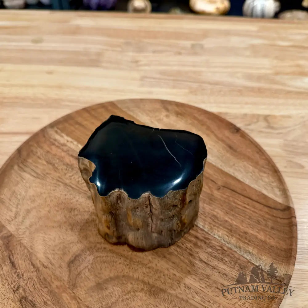 Petrified Wood Mini Stump Accent 3.78’’ - Accent