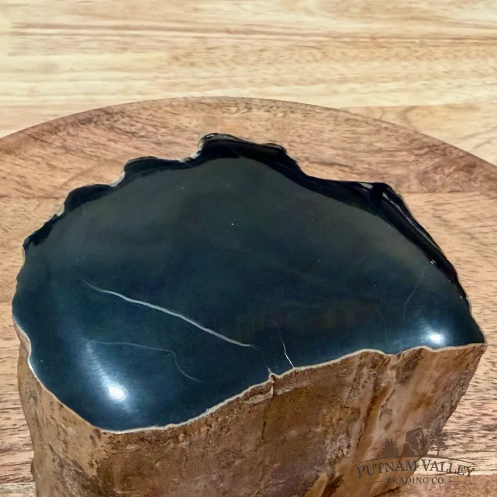 Petrified Wood Mini Stump Accent 3.78’’ - Accent