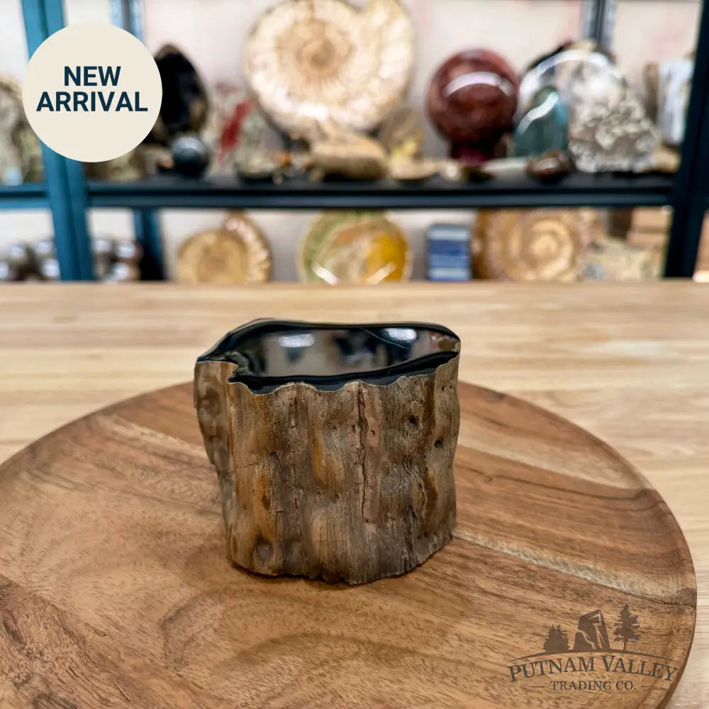Petrified Wood Mini Stump Accent 3.78’’ - Accent