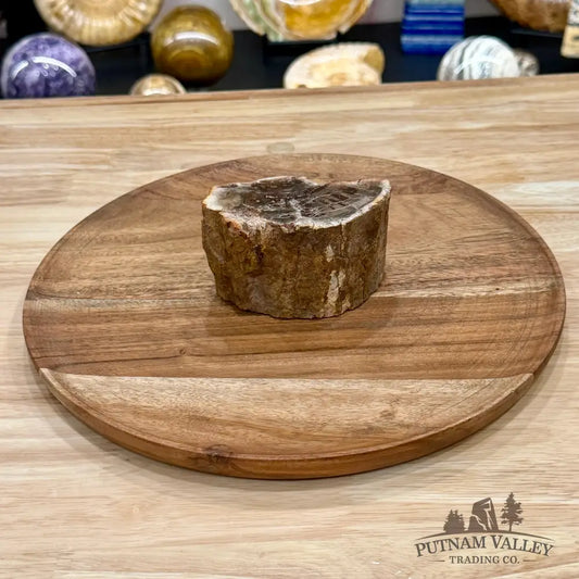 Petrified Wood Mini Stump Accent 3.8’’ - Free Standing Accent