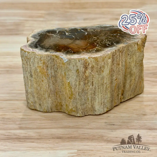 Petrified Wood Mini Stump Accent 3.9’’ - Accent