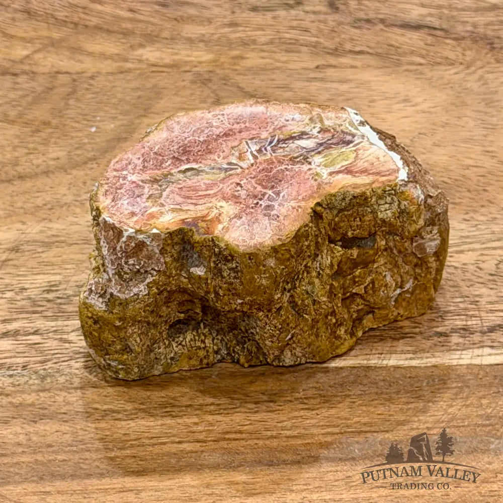Petrified Wood Mini Stump Accent 3’’ - Free Standing Accent