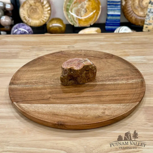 Petrified Wood Mini Stump Accent 3’’ - Free Standing Accent