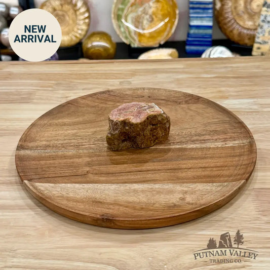 Petrified Wood Mini Stump Accent 3’’ - Free Standing Accent