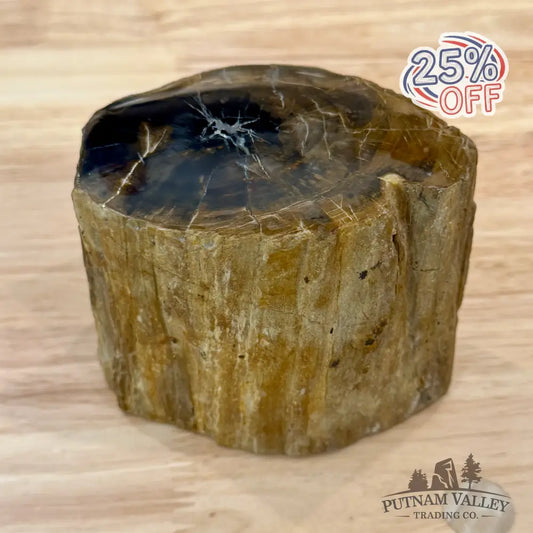 Petrified Wood Mini Stump Accent 4.2’’ - Accent