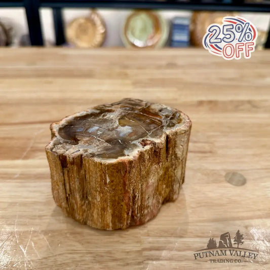 Petrified Wood Mini Stump Accent 4.23’’ - Accent