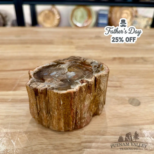 Petrified Wood Mini Stump Accent 4.23’’ - Accent