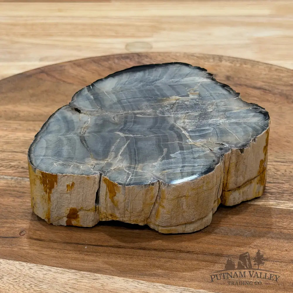 Petrified Wood Mini Stump Accent 4.53’’ - Free Standing Accent