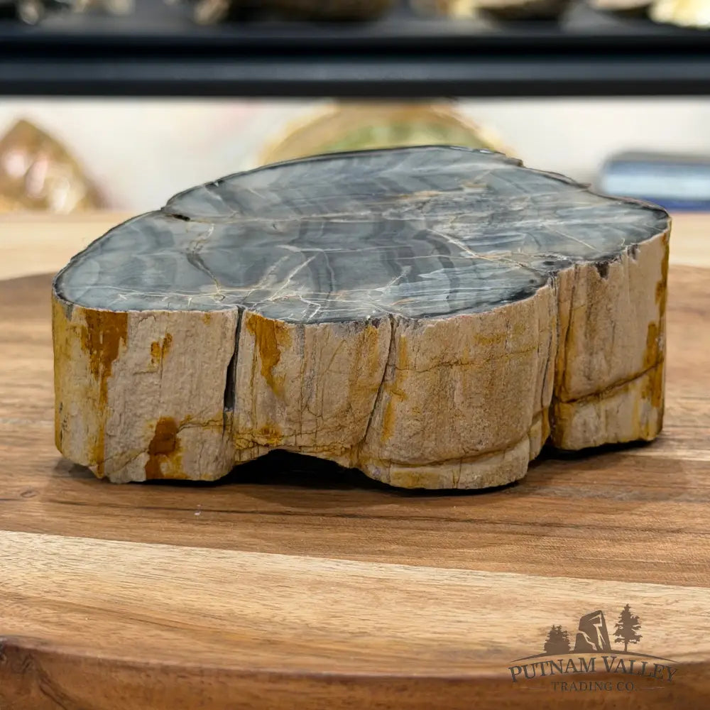 Petrified Wood Mini Stump Accent 4.53’’ - Free Standing Accent