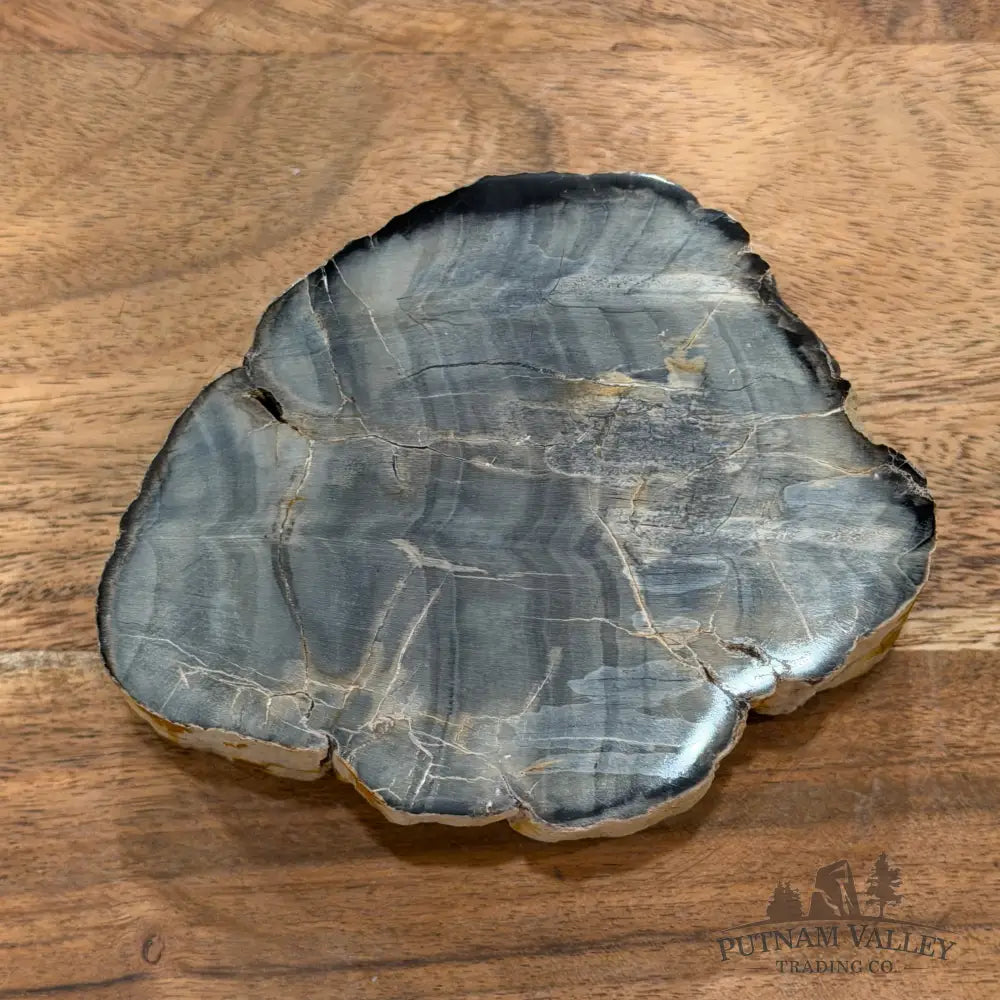 Petrified Wood Mini Stump Accent 4.53’’ - Free Standing Accent