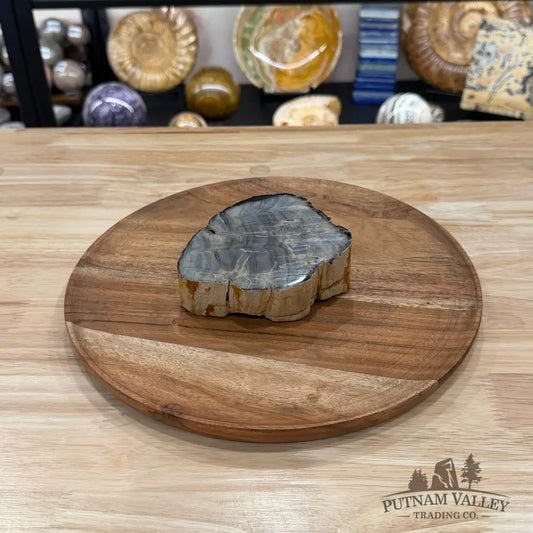 Petrified Wood Mini Stump Accent 4.53’’ - Free Standing Accent
