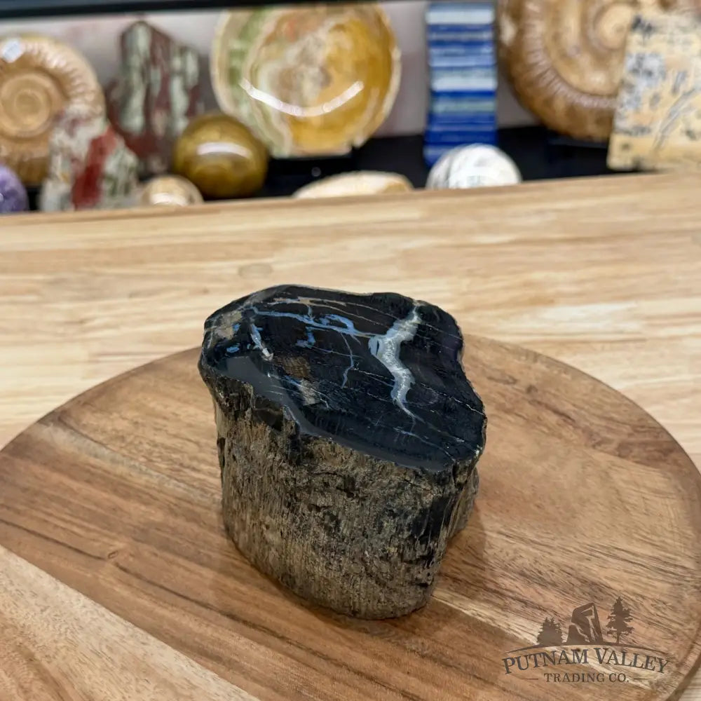 Petrified Wood Mini Stump Accent 4.8’’ - Free Standing Accent