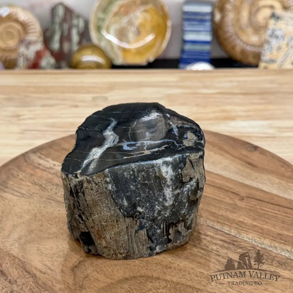 Petrified Wood Mini Stump Accent 4.8’’ - Free Standing Accent