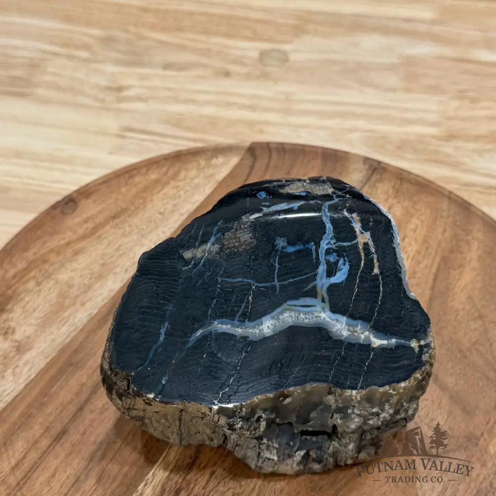 Petrified Wood Mini Stump Accent 4.8’’ - Free Standing Accent