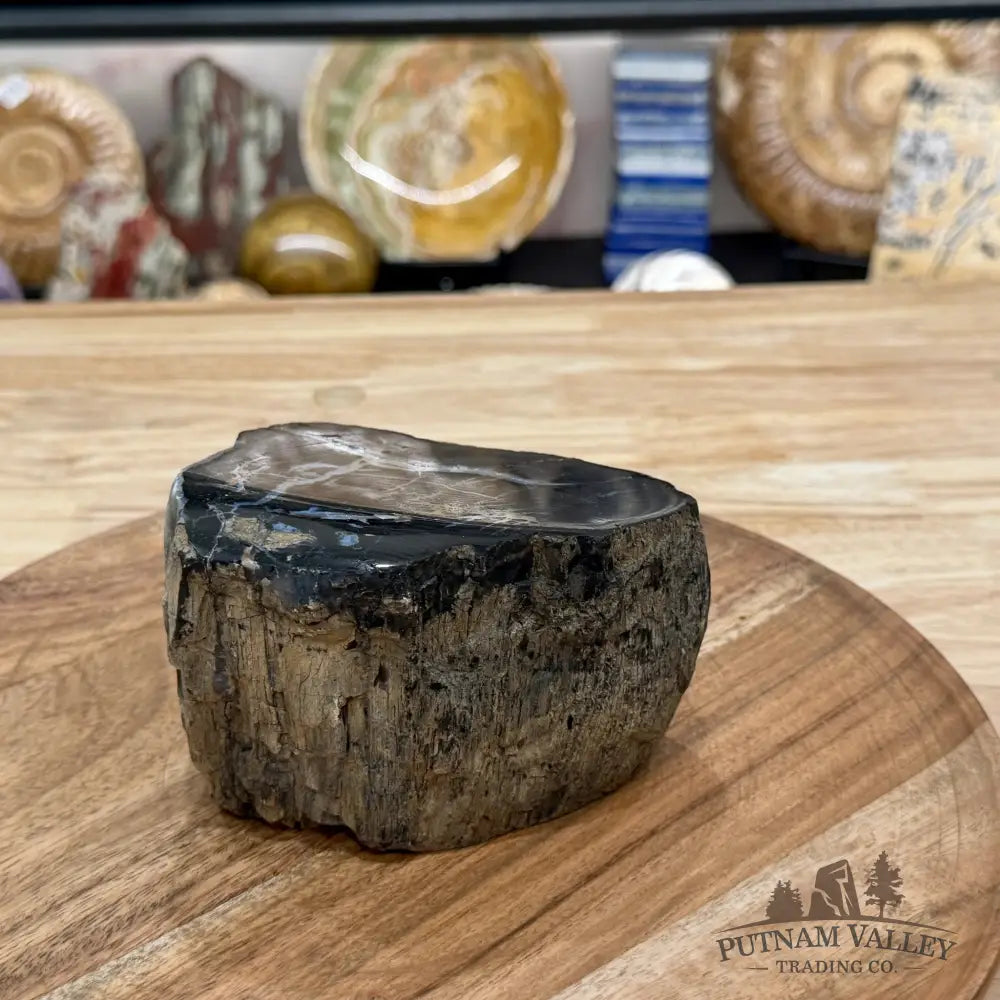 Petrified Wood Mini Stump Accent 4.8’’ - Free Standing Accent