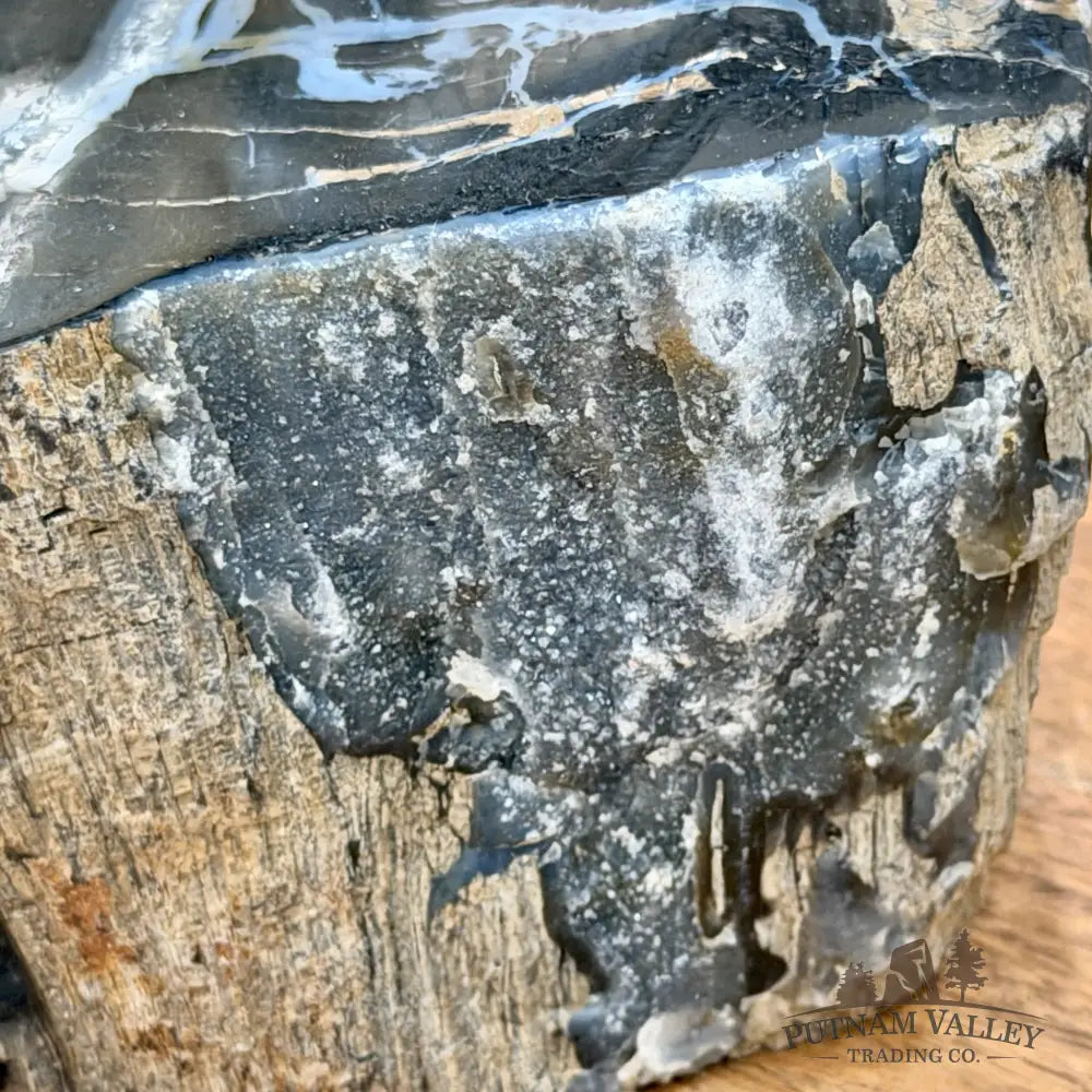 Petrified Wood Mini Stump Accent 4.8’’ - Free Standing Accent